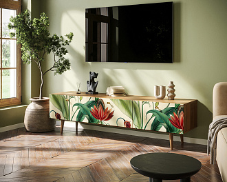 Комод "Berber" с ящиками низкий под TV принт 7 арт BB19/Print_07