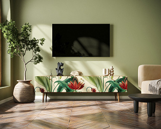 Комод "Berber" с ящиками низкий под TV принт 7 арт BB19/Print_07